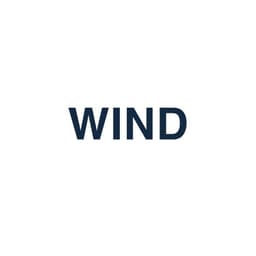 WIND Logo