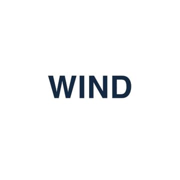 WIND Logo